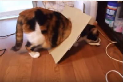 4984616175cb5c4ea4878ca7ff33b0b0.png