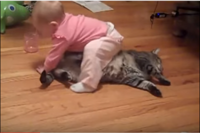重くても痛くてもひたすら耐える猫