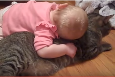 重くても痛くてもひたすら耐える猫