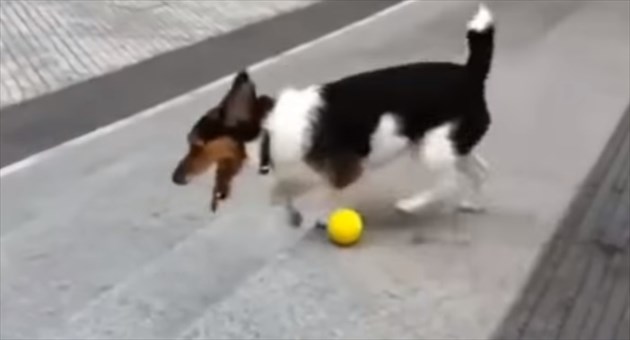 ball_R