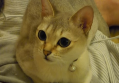 945c343539d9da3857a1d5279ff5b3df.png