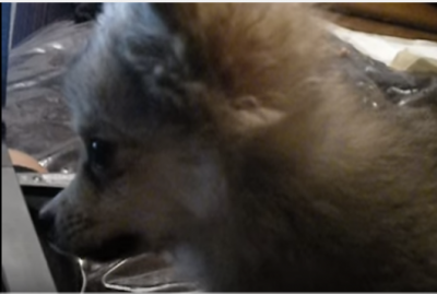 c705a616a64dc5e3b0ba71d63119f9f3.png