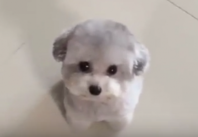 b6faecbe0007f7f822f7b0eee54a8836.png