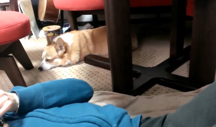 corg3