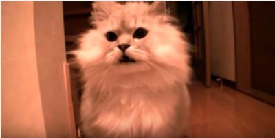 bb8d6a5a50a73975f4c544548c503375.png