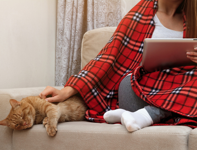 秋の夜長に鑑賞したい猫が活躍する映画3選
