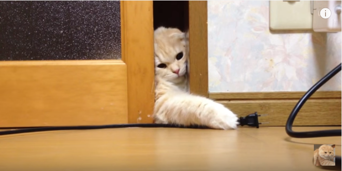 後ちょっと、もう少し、頑張れ!でも狭い・・・