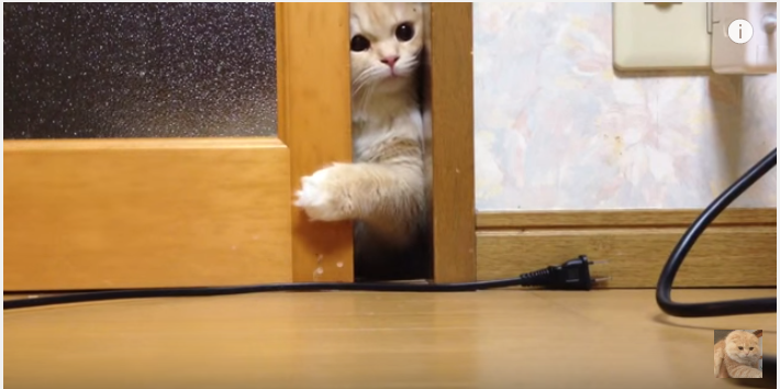 後ちょっと、もう少し、頑張れ!でも狭い・・・