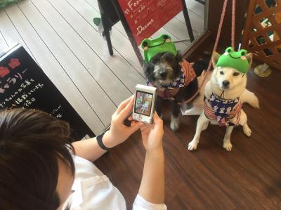 【平針駅】ペット・犬店内OK!ベーグルが美味しいカフェ「Ume Café(ウメカフェ)」【愛知県名古屋市名東区】