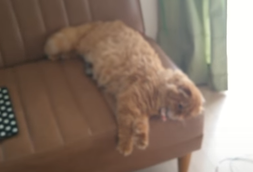 8fa0c877b533e14c33141b5af3ee35e8.png