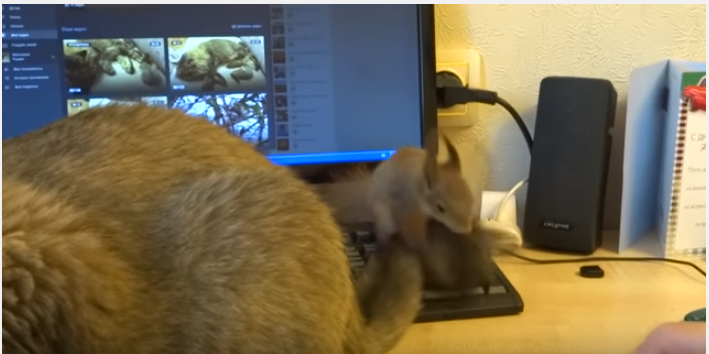 33eb54c43c500ae06ce9f2141014cead.png