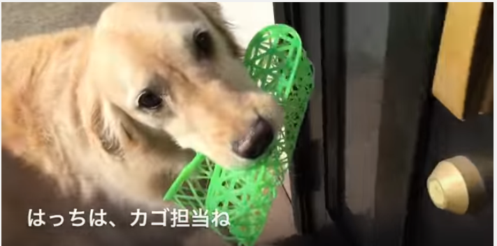 6b08a195946a3cbc89a5b3caa0ee3810.png