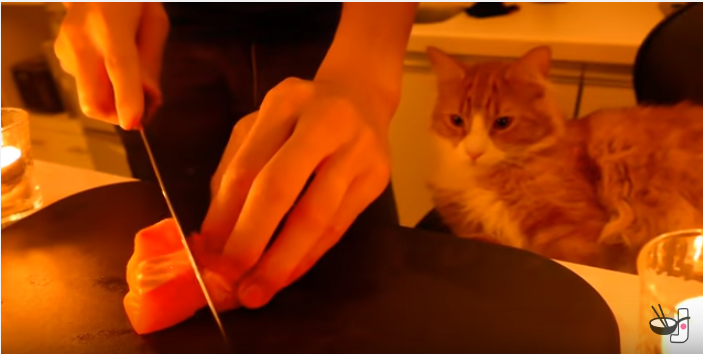 猫の手作りご飯、余りの豪華さに猫もビックリ