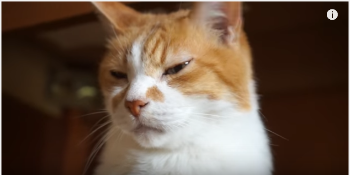 c5bef81ceaf2af2fb5848718515a2a2f.png