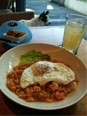 【芦屋川駅・芦屋駅】「G cafe(ジーカフェ)」セレブ犬御用達カフェ、ペット可【兵庫県芦屋市】