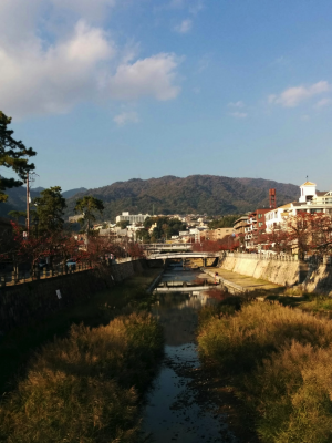 【芦屋川駅・芦屋駅】「G cafe(ジーカフェ)」セレブ犬御用達カフェ、ペット可【兵庫県芦屋市】