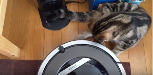 ルンバに充電させたくない猫