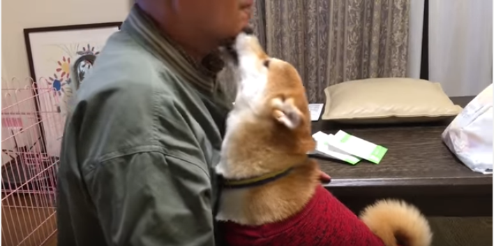 お父さん大好き!柴犬とのハグが止まらない