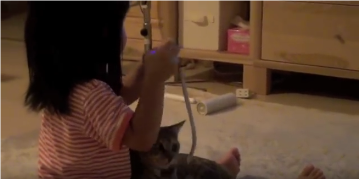 ほのぼの可愛い女の子と猫、Wiiで遊ぶ