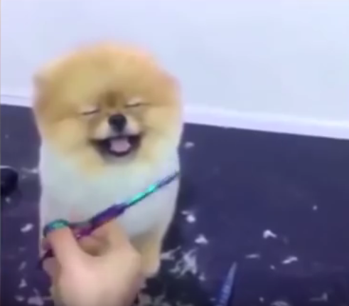5f351ae657d201a05b86dd758bf6d9fe.png