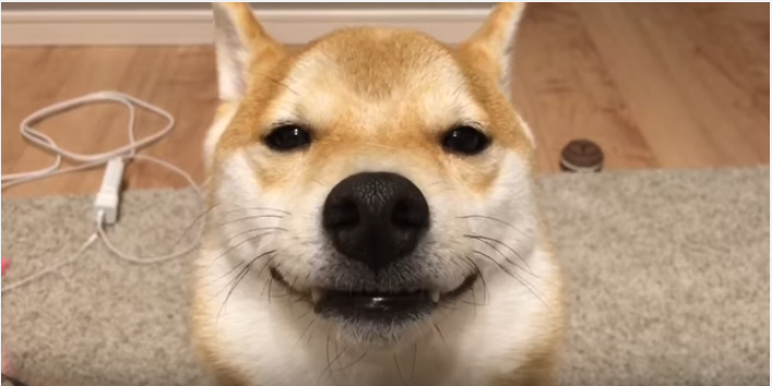 a587729548af2ed0cbbd3b60191c0143.png
