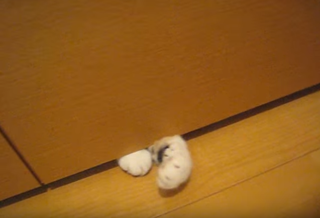 303f072b78ab2c26b2c80ff314c97d7c.png