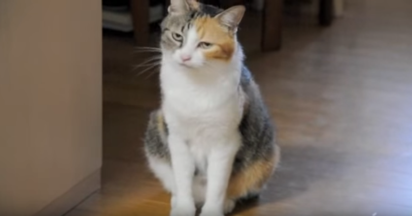 9d835b929c2458a407d9c03d592c452a.png