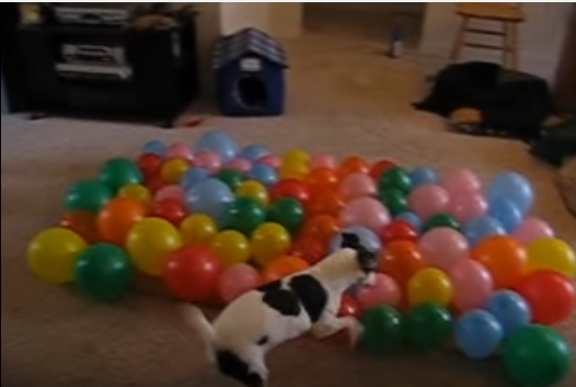 36479db2576cdefc347144098148d66e.png