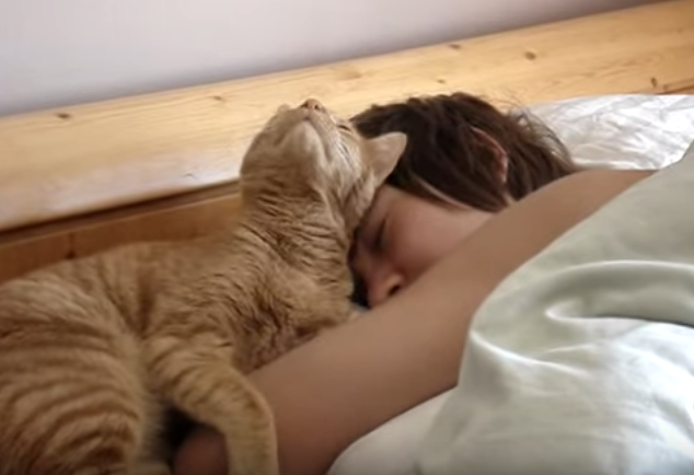 目覚まし猫ちゃんとイケメン。うらやましいのはどちら??