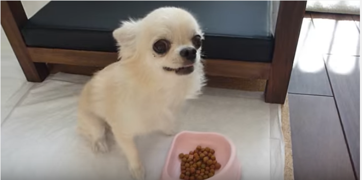 0f365d8daaff54e5e91af2c55cfe9b6c.png