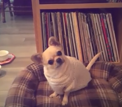 e693ab2086b5a5952ea51521e31ff88c.png