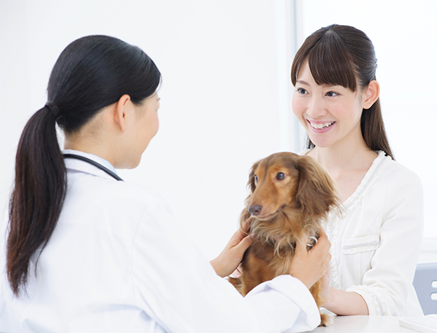 健康管理のためにも! 愛犬の動物病院嫌いを克服する方法