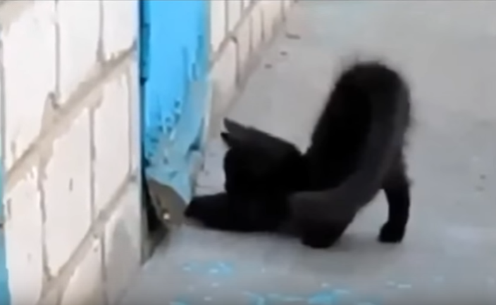 b30150f0e7b39619cc87057af7900303.png