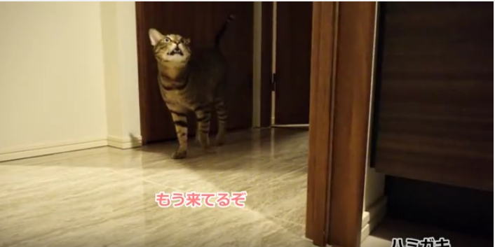 5ae2a9fe51901c93e0cb9e00e5521c06.png