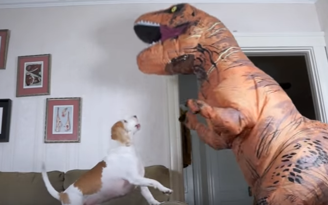 どんな姿でも大好き!恐竜と遊ぶ犬