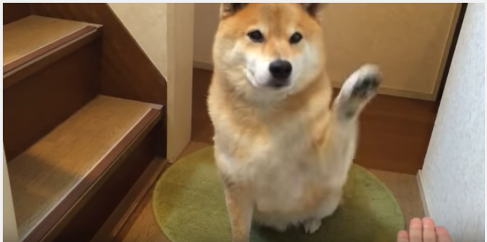 14f8846e528cb028e7016ea0fc217ed9.png
