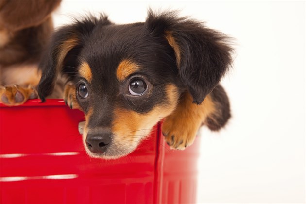 shutterstock_210434089_R