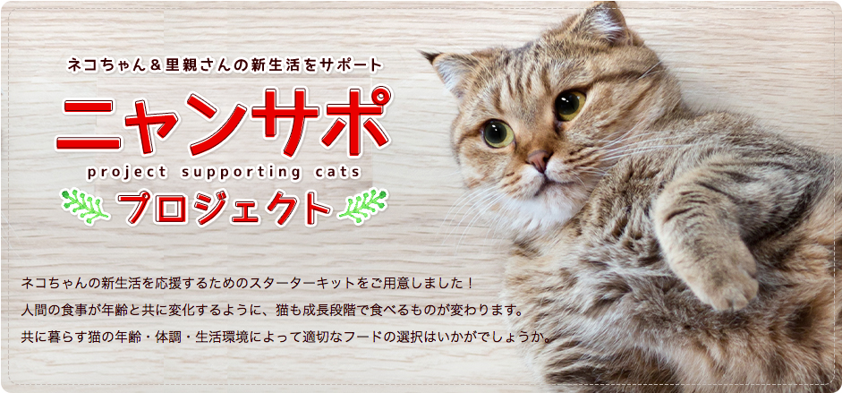 プレス