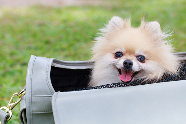 shutterstock_221467531
